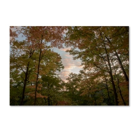 Kurt Shaffer 'Autumn Window To A Sunset' Canvas Art,16x24